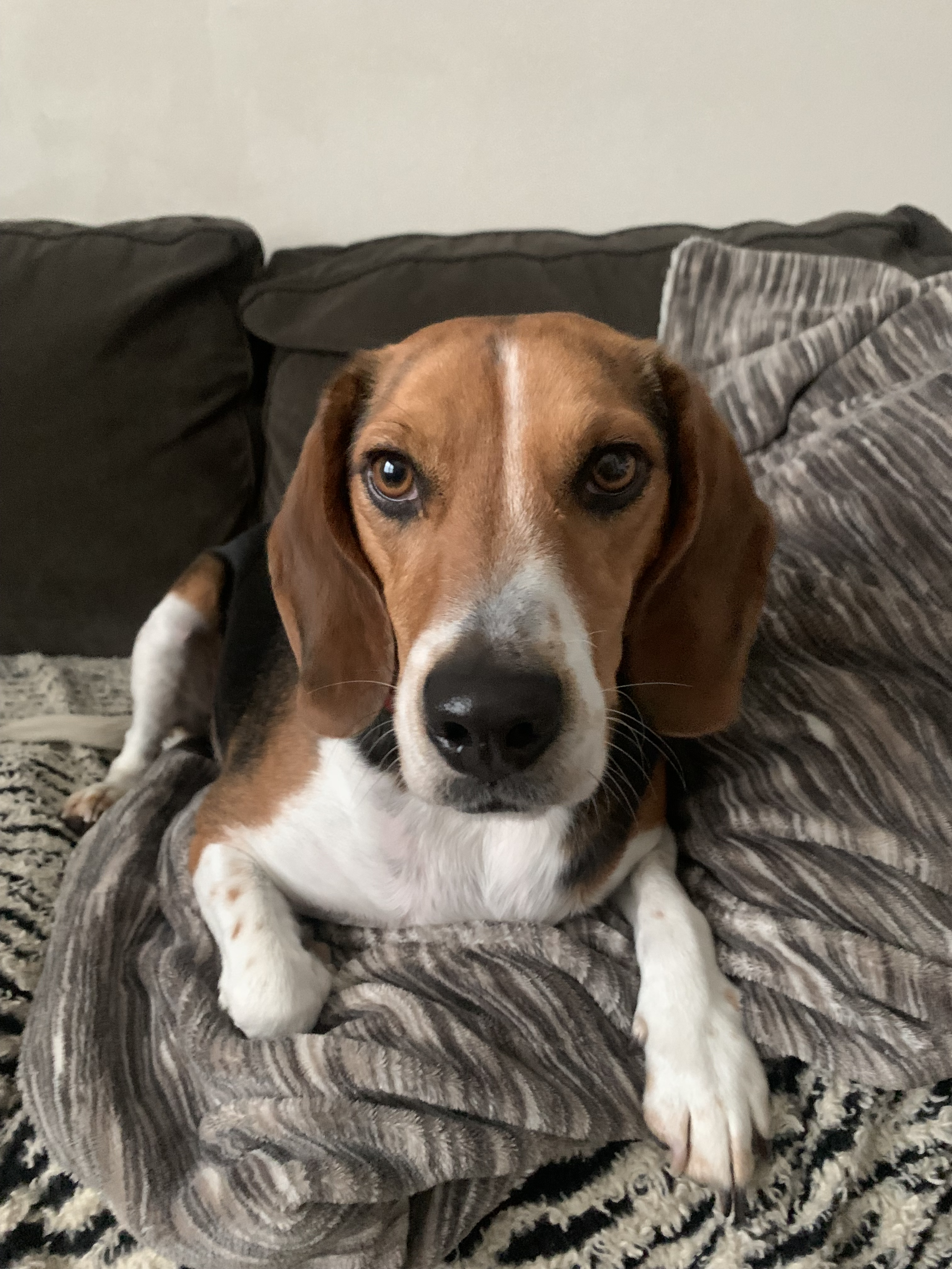 CharlieIMG_5032